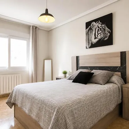 Spacious In Downtown Apartment *